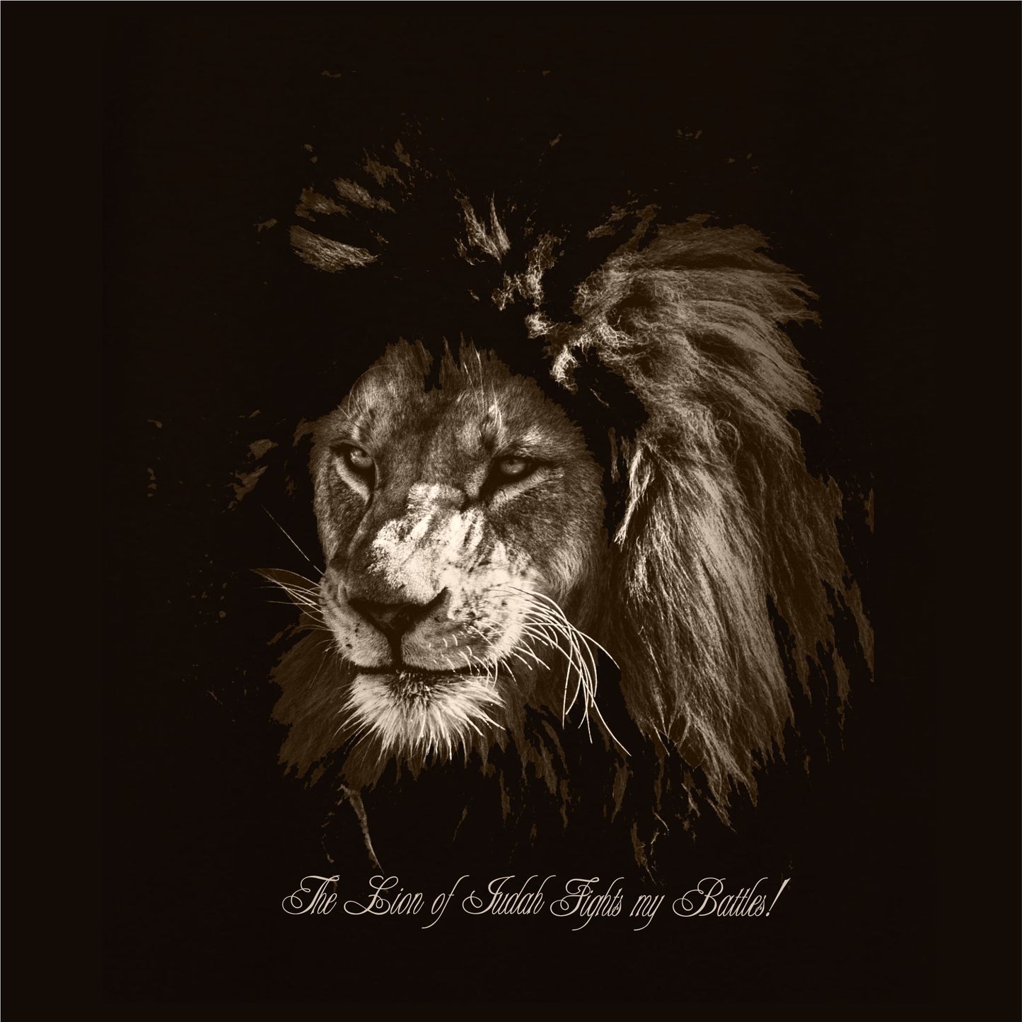 The Lion Of Judah Fights My Battles Christian Zip-Up Hoodie