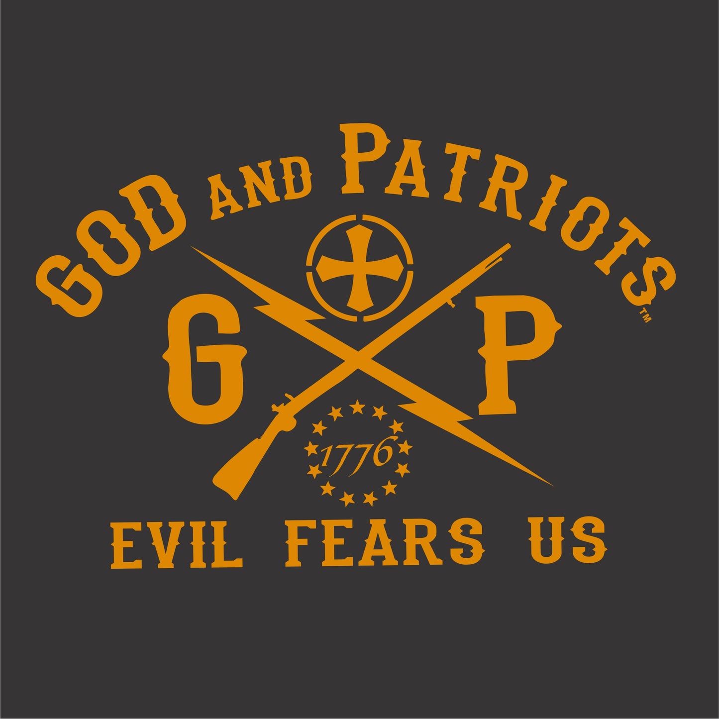 Rattle Snake Roundup Cowboy Bad Decisions Patriotic T-Shirt (black)