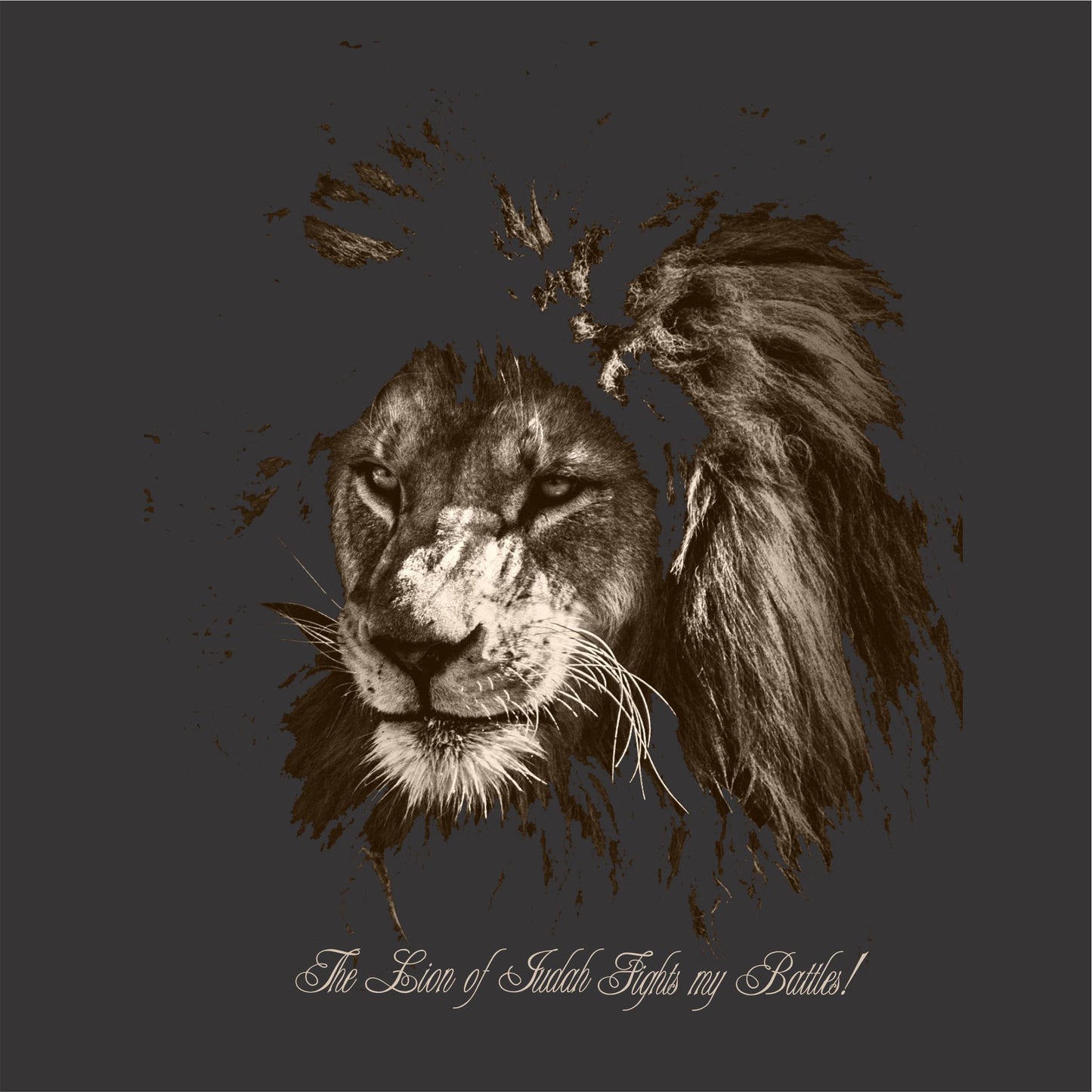 The Lion Of Judah Fights My Battles Men's Christian T-Shirt (black)