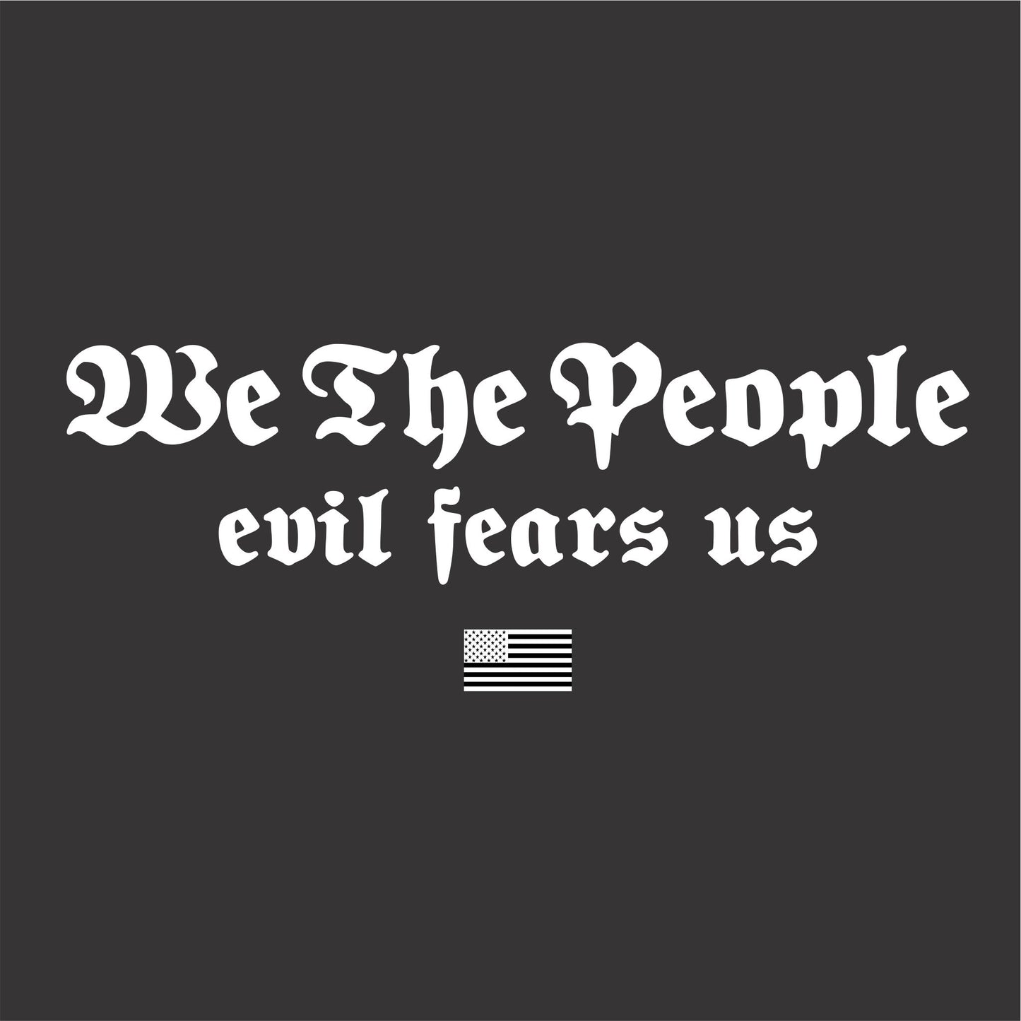 We The People / Evil Fears Us Men's Patriotic T-Shirt