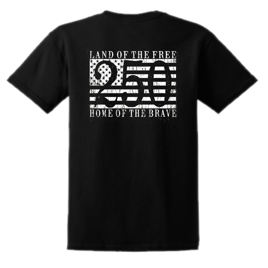 America 250 Years Men's Patriotic T-Shirt (black)