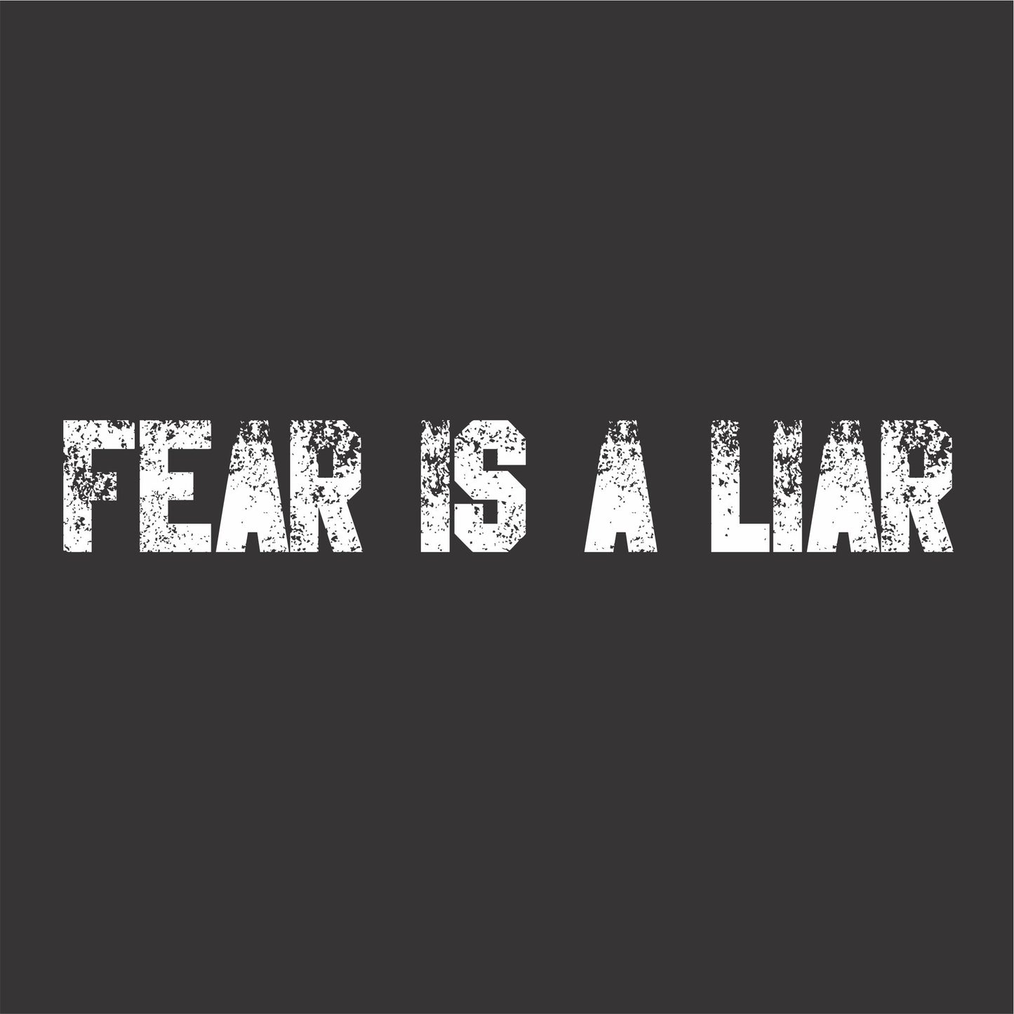 Fear Is A Liar Men's Christian T-Shirt (black)