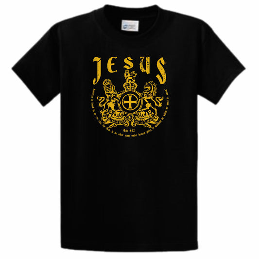 Jesus King Of Kings Lord Of Lords Men's Christian T-Shirt (black)