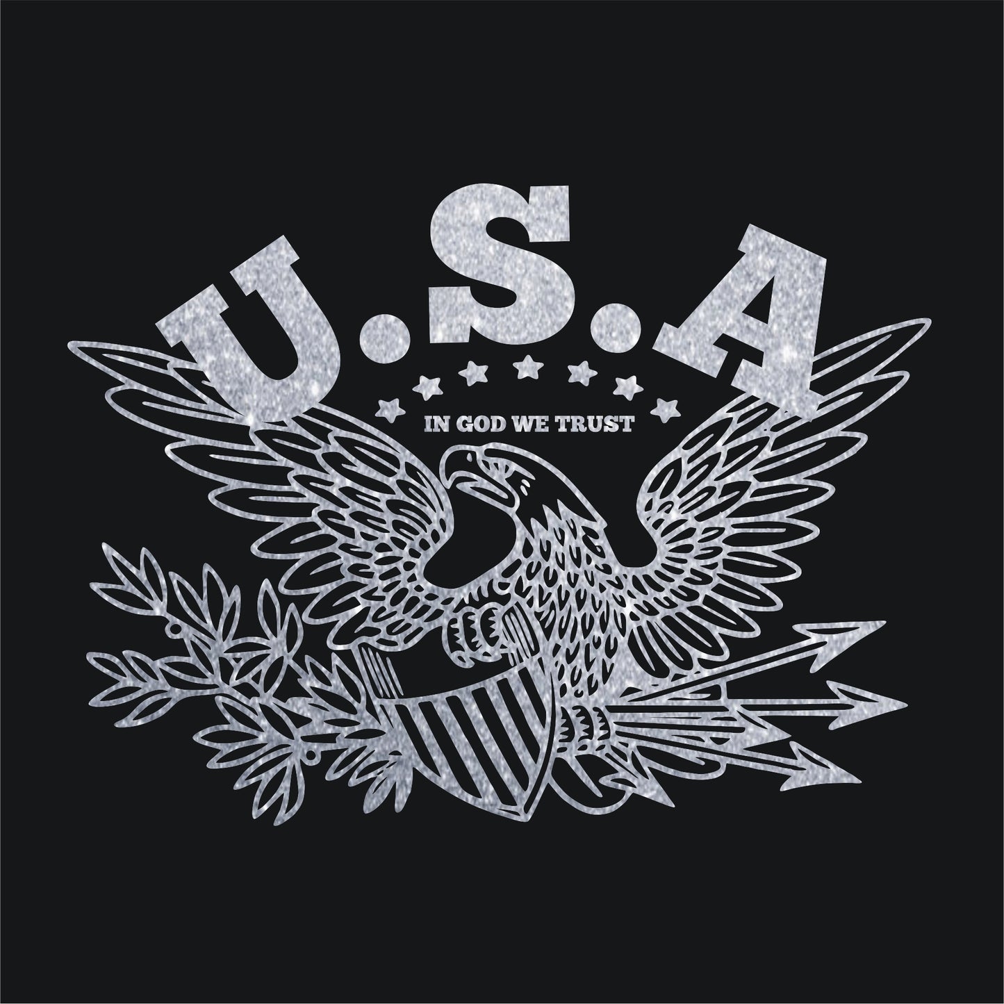 USA Eagle Seal In God We Trust Women's Patriotic Deep V Neck T-Shirt (black)